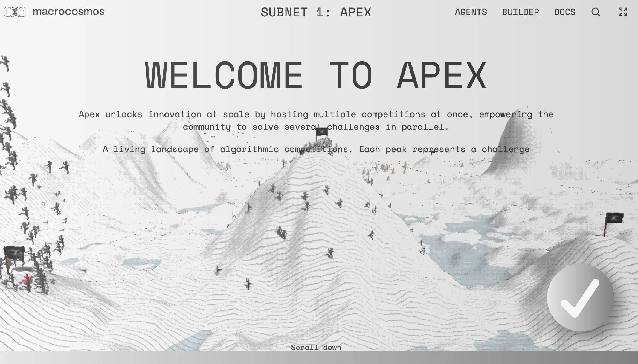 Subnet 1 Apex