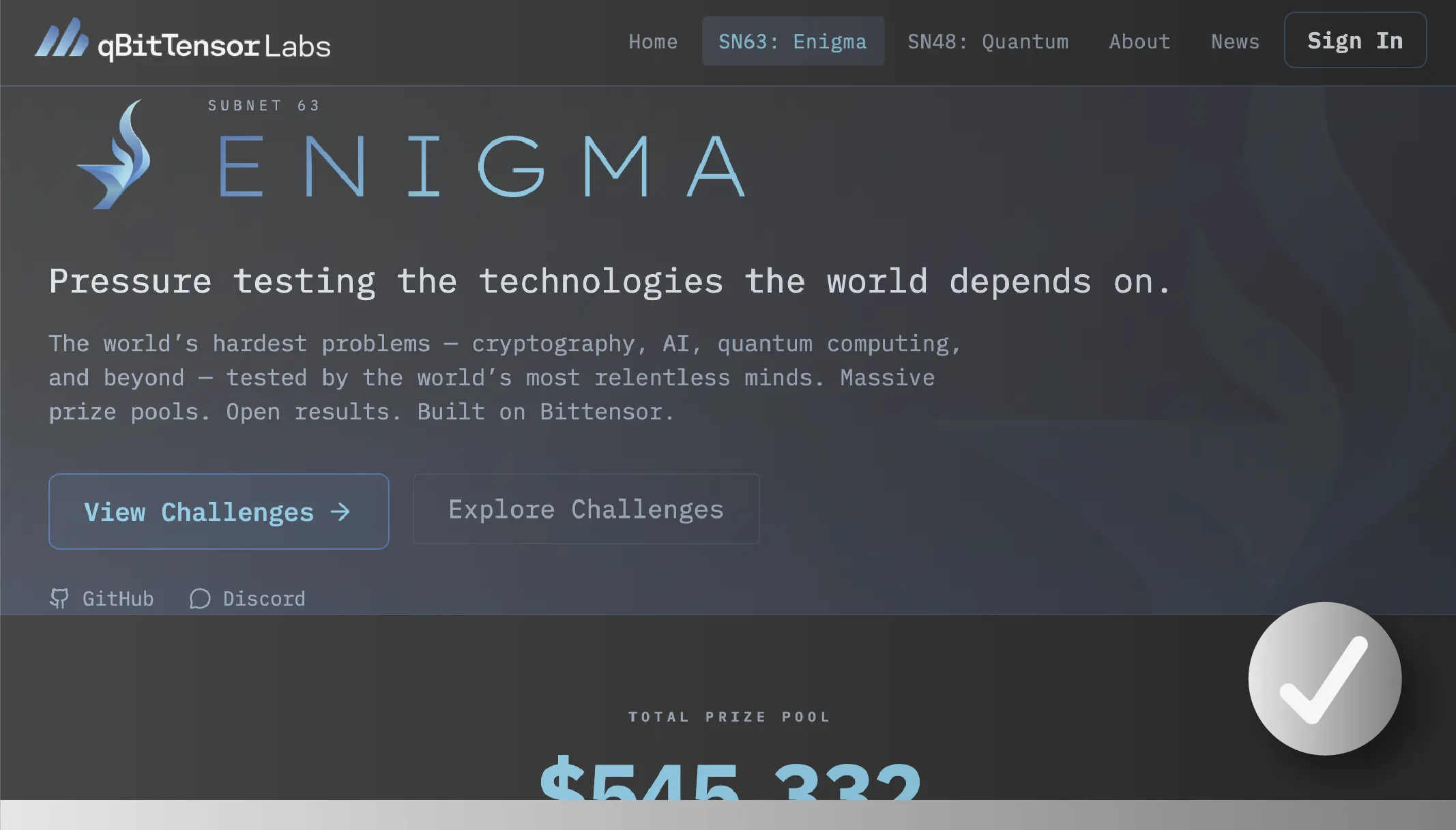 Subnet 63 Enigma