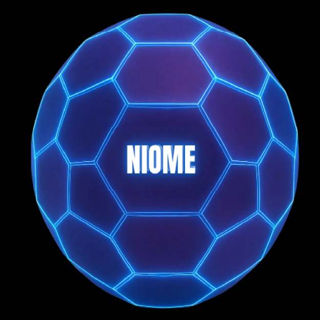 Logo Subnet 55 NIOME