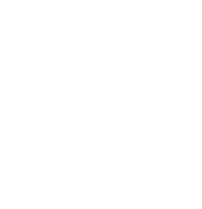 Exploit Summit Logo